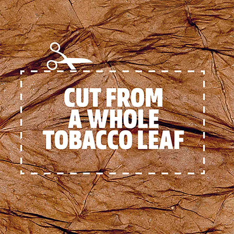 Al Capone Glow Tobacco Leaf - Pack Of 5 Medium Leaves 2