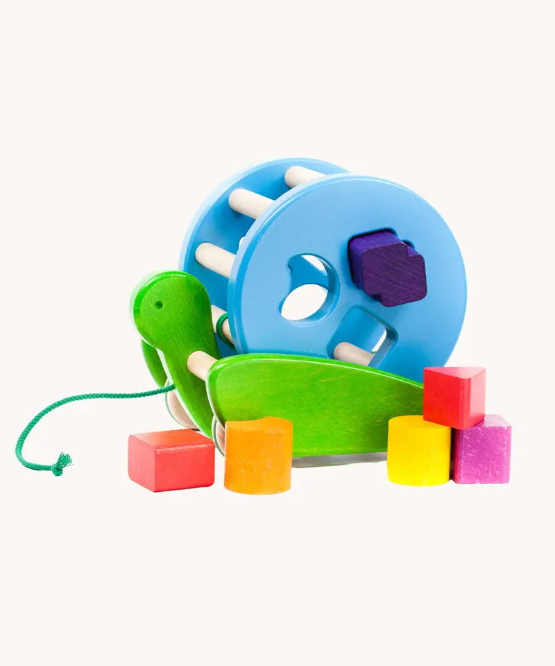 Bajo Blue Snail Sort Roller 1