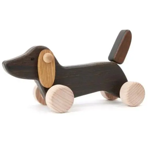 Bajo Brown Dachshund Puppy 1