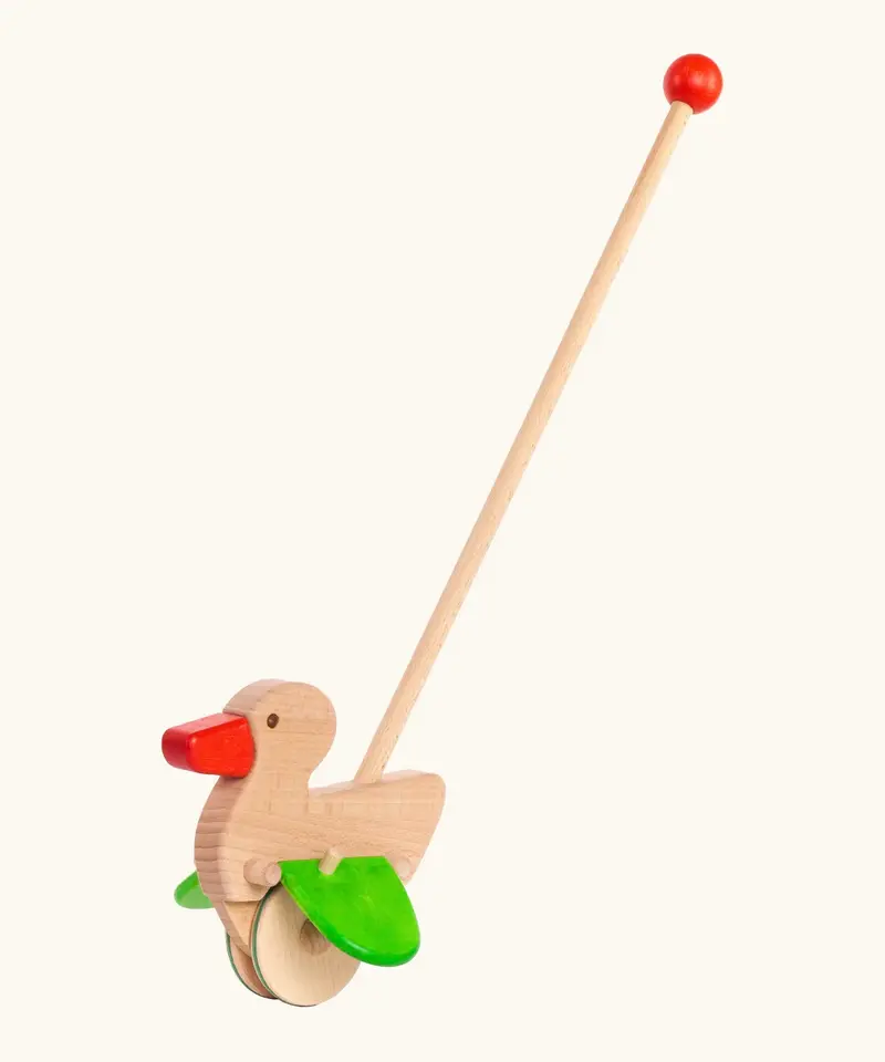 Bajo Duck Push Along 1