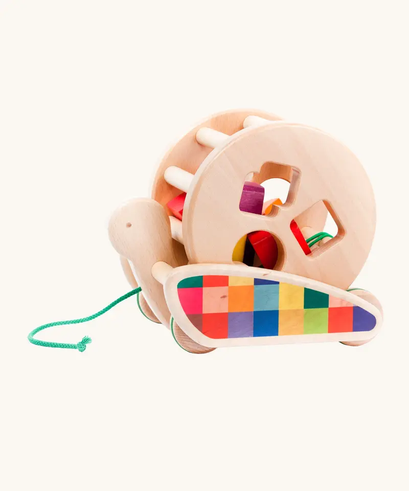 Bajo Natural Snail Sort Roller 1