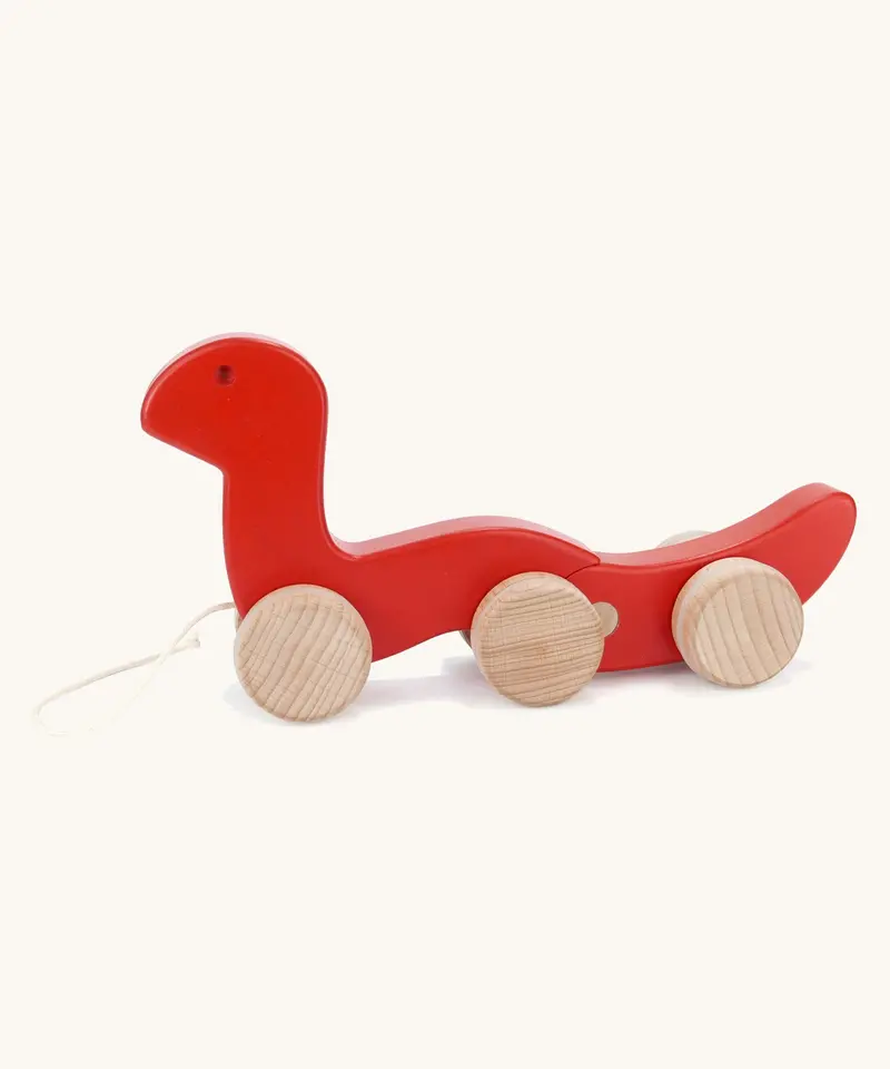 Bajo Pull-Along Wriggling Worm 1