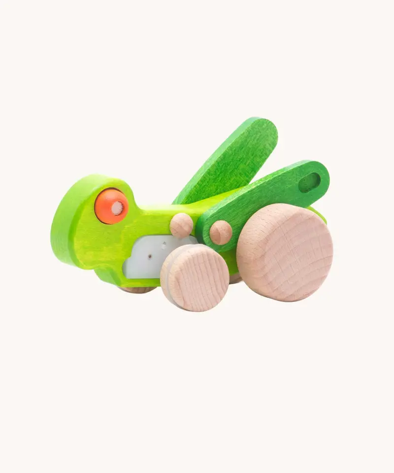 Bajo Pull-Back Cicada 1