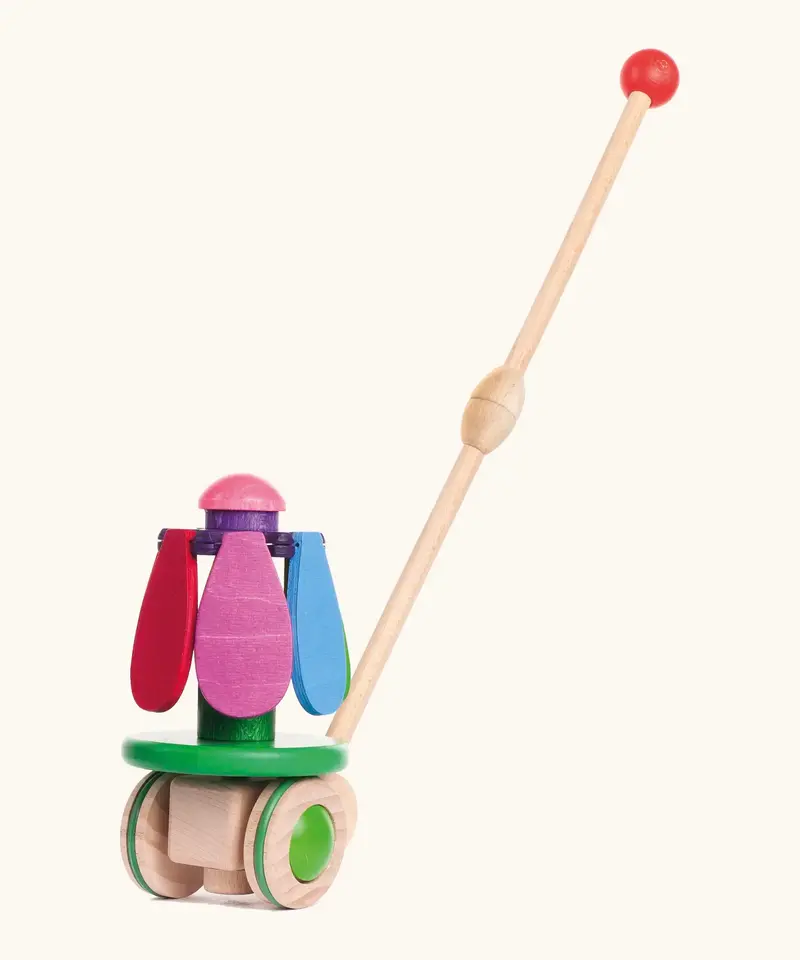 Bajo Rainbow Flower Push Along 1