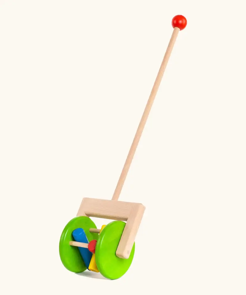 Bajo Rattle Push Along 1