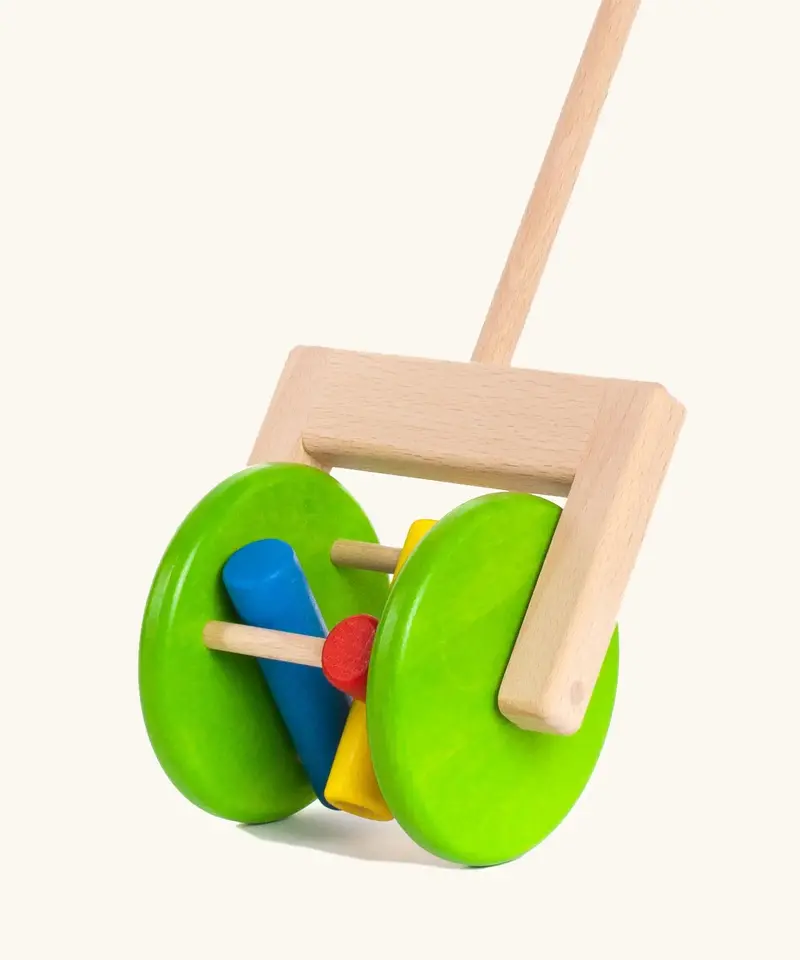 Bajo Rattle Push Along 2