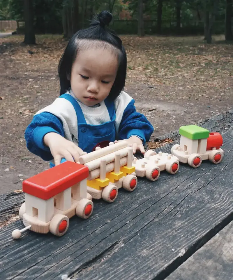 Bajo Train To Build 1