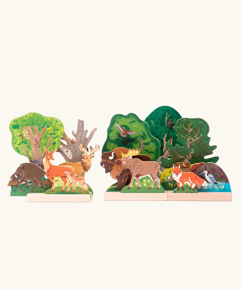 Bajo Wild Forest Wooden Theatre 1