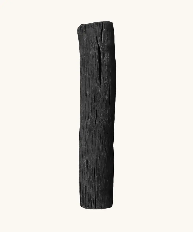 Black+Blum Active Charcoal Water Filter 2