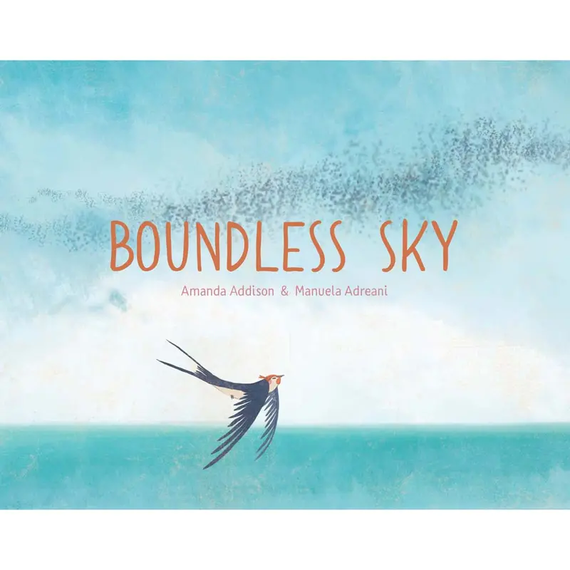 Boundless Sky By Amanda Addison 1