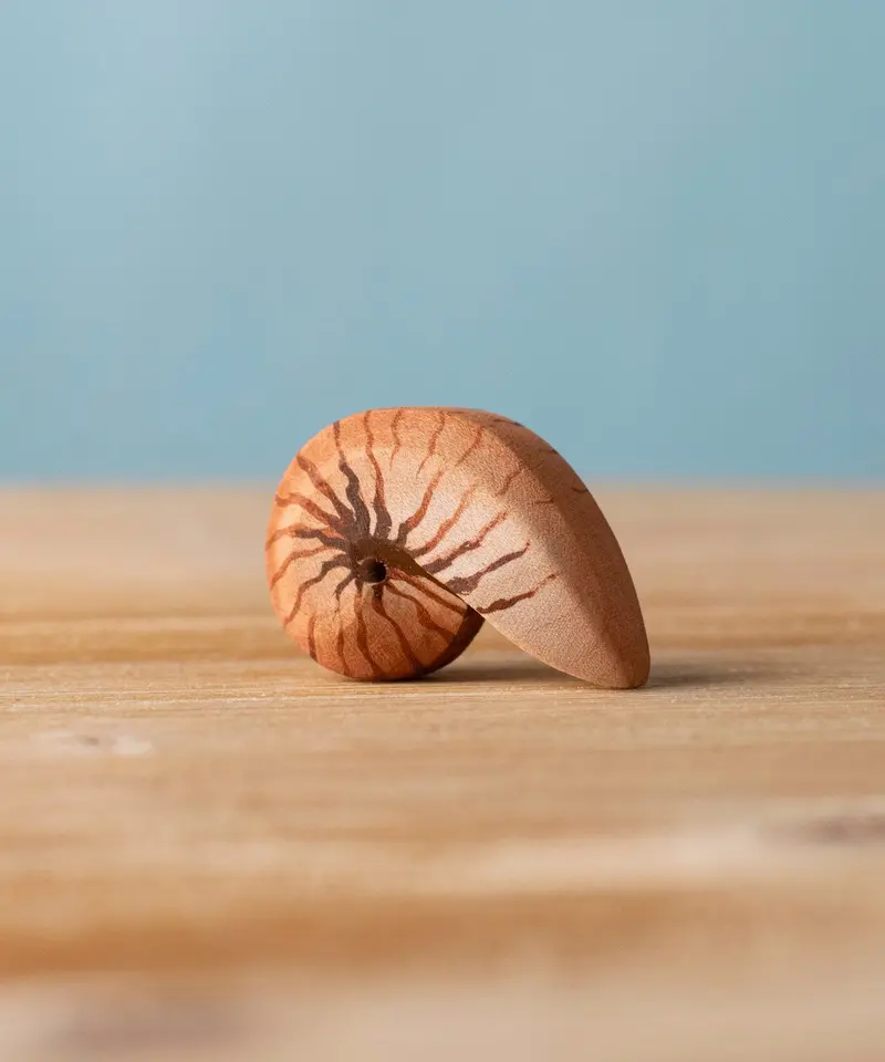 Bumbu Toys Spiral Sea Shell 1
