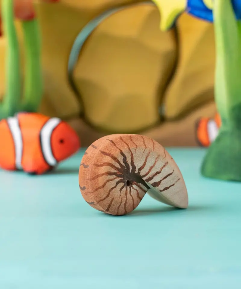 Bumbu Toys Spiral Sea Shell 2