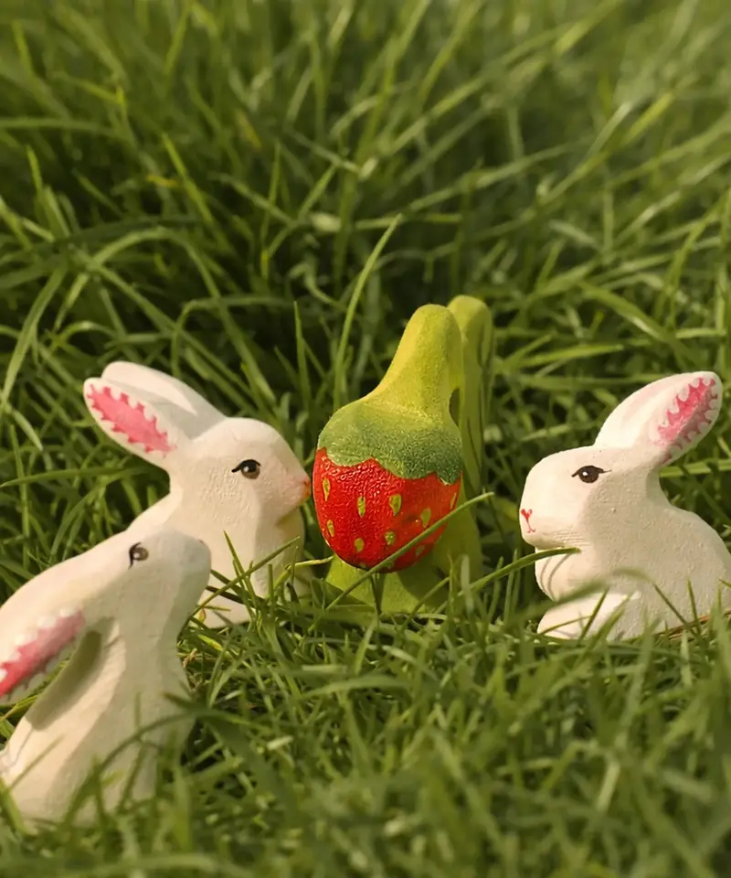 Bumbu Toys Strawberry Plant 2