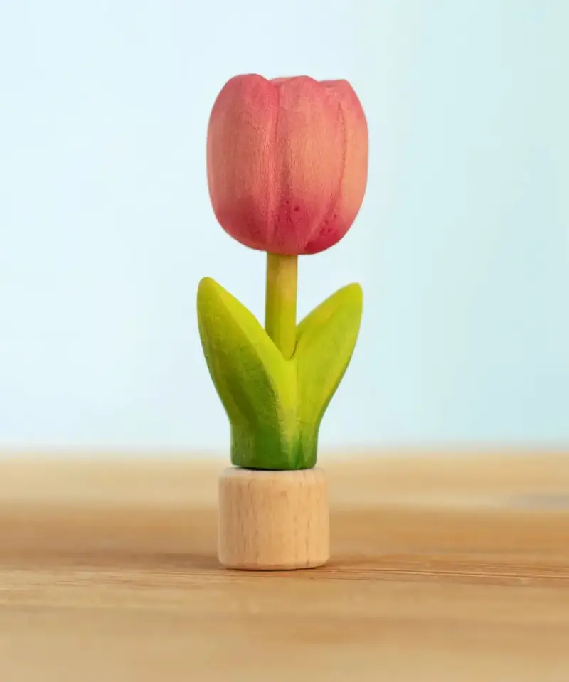 Bumbu Tulip Celebration Figure 1