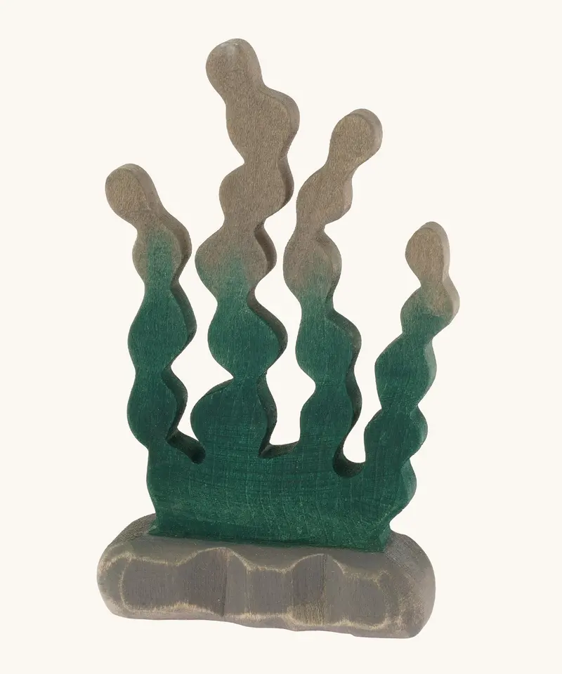 Bumbu Wooden Giant Kelp Seaweed 1