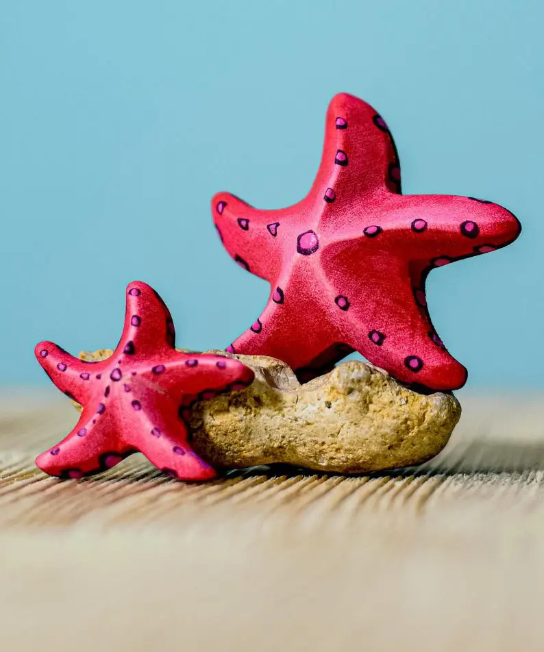 Bumbu Wooden Red Starfish Set 2