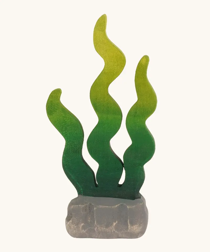 Bumbu Wooden Sugar Kelp Seaweed 1