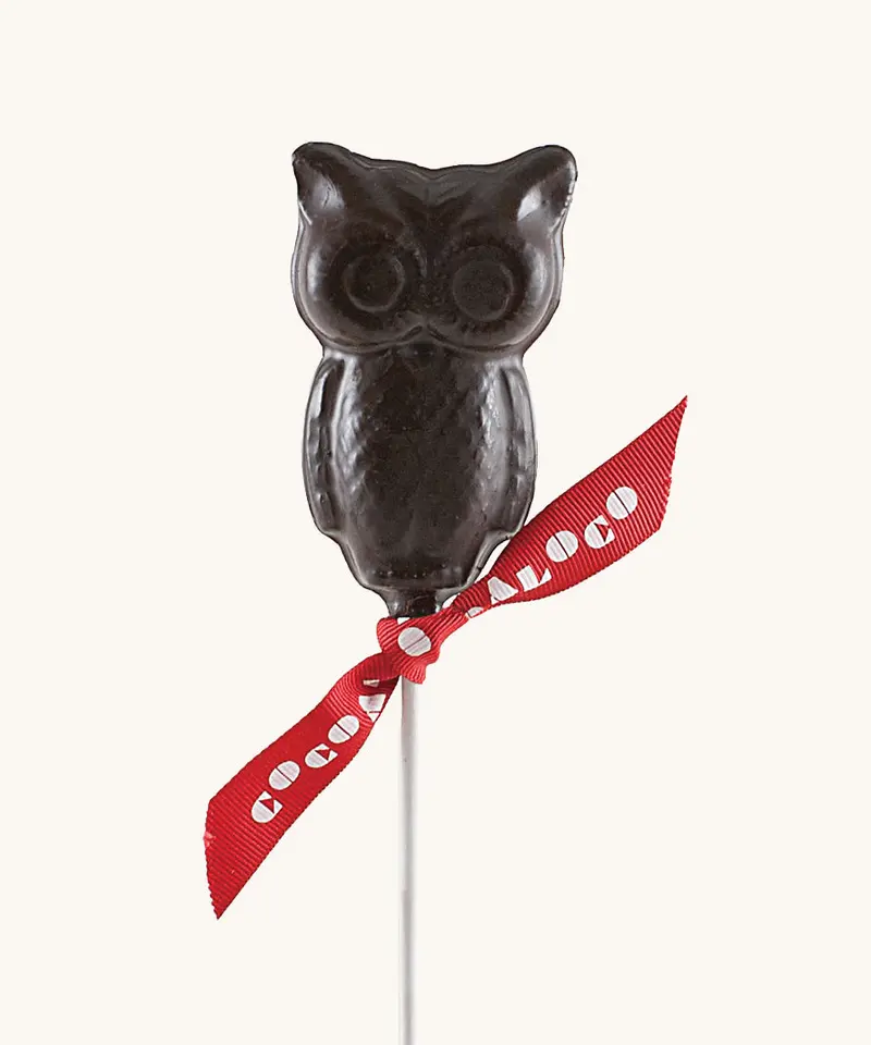 Cocoa Loco Dark Chocolate Owl 26G 1