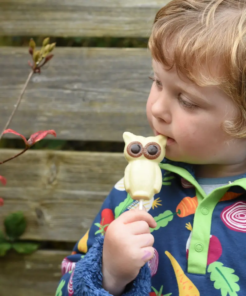 Cocoa Loco White Chocolate Owl 26G 2