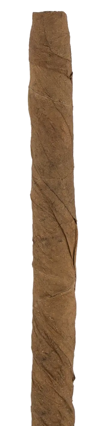 Cohiba Club Cuban Cigar - Single 1