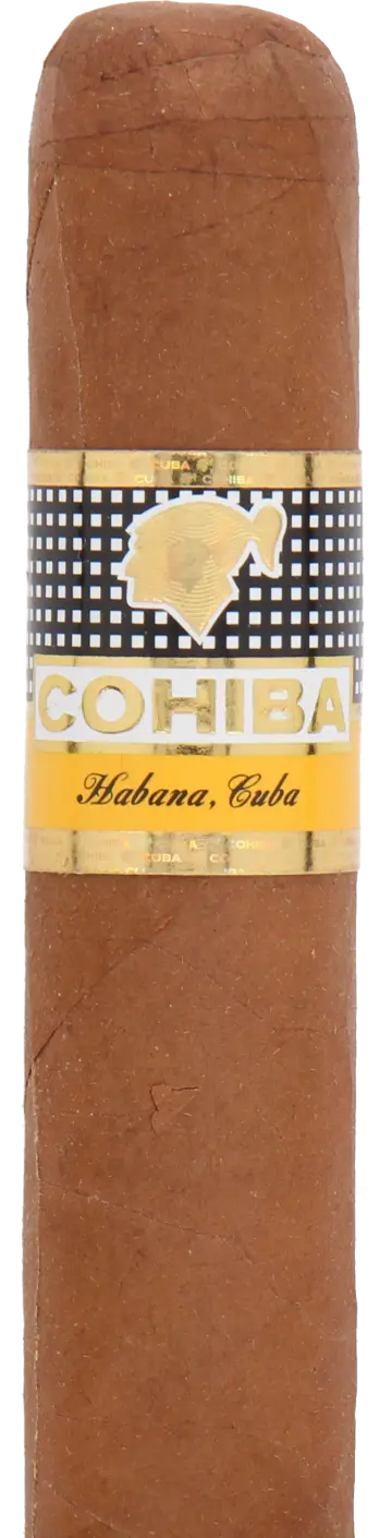 Cohiba Robustos Cuban Cigar - Single 1