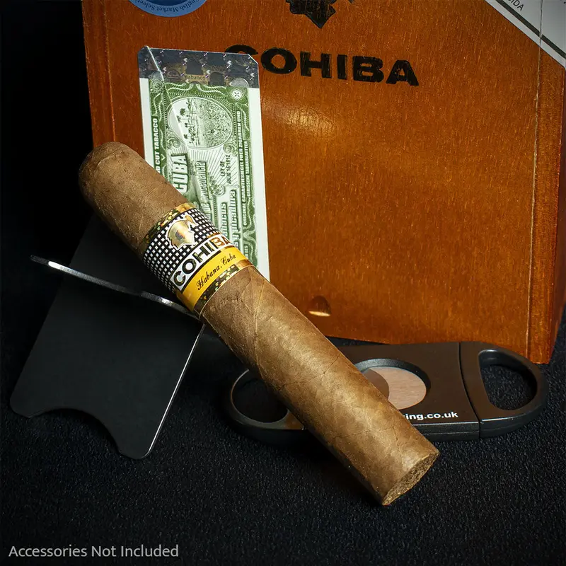 Cohiba Robustos Cuban Cigar - Single 2