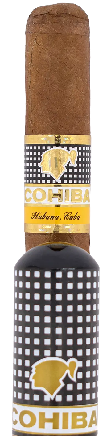 Cohiba Siglo Iii Tubos Cuban Cigar - Single 1