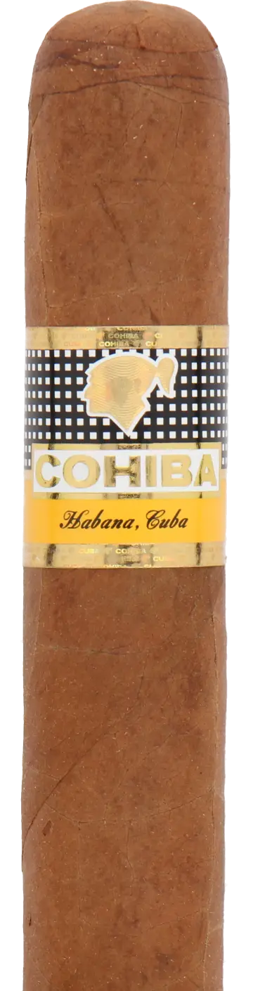Cohiba Siglo Vi Cuban Cigar - Single 1