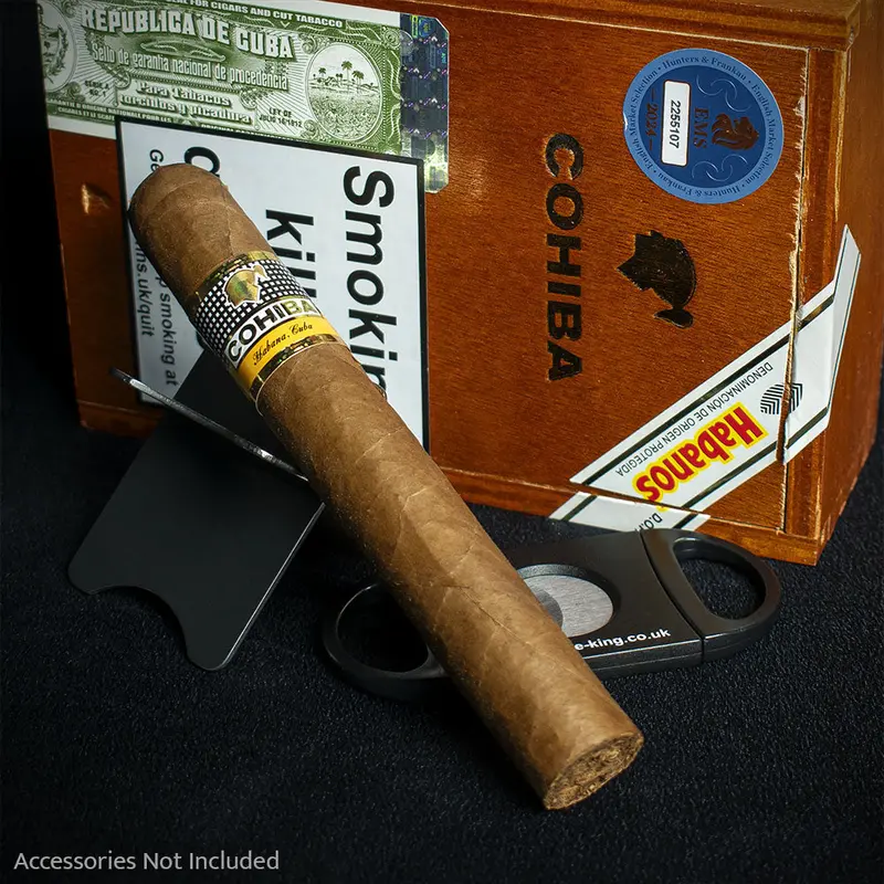 Cohiba Siglo Vi Cuban Cigars - Box Of 10 2