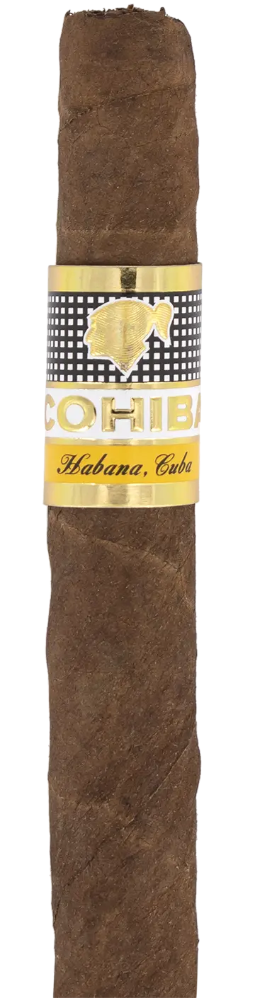 Cohiba Wide Short Cuban Cigar - Single 1