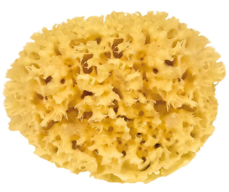 Croll & Denecke Natural Mediterranean Sponge 1