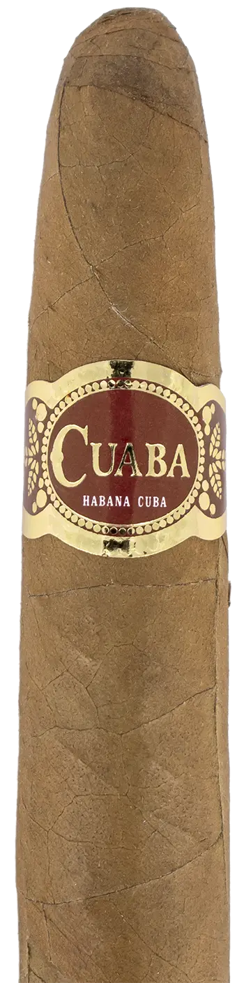 Cuaba Distinguidos Cuban Cigar - Single 1