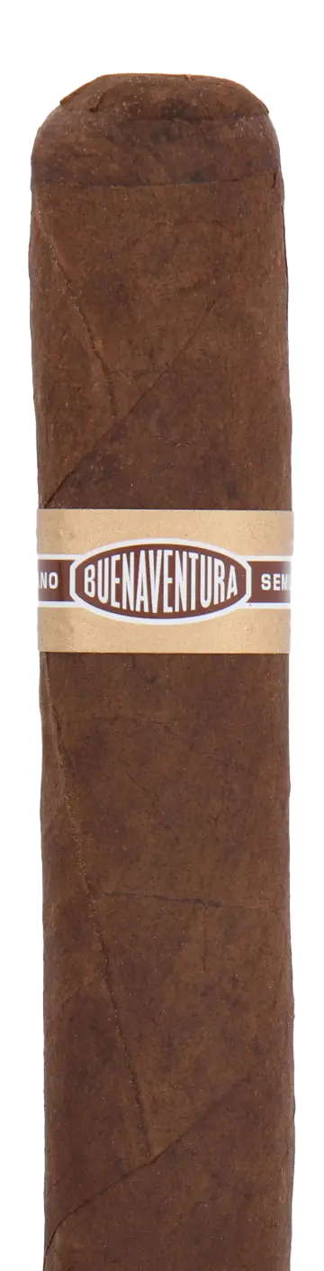 Curivari Buenaventura Bv 560 Nicaraguan Maduro Robusto Cigar - Single 1