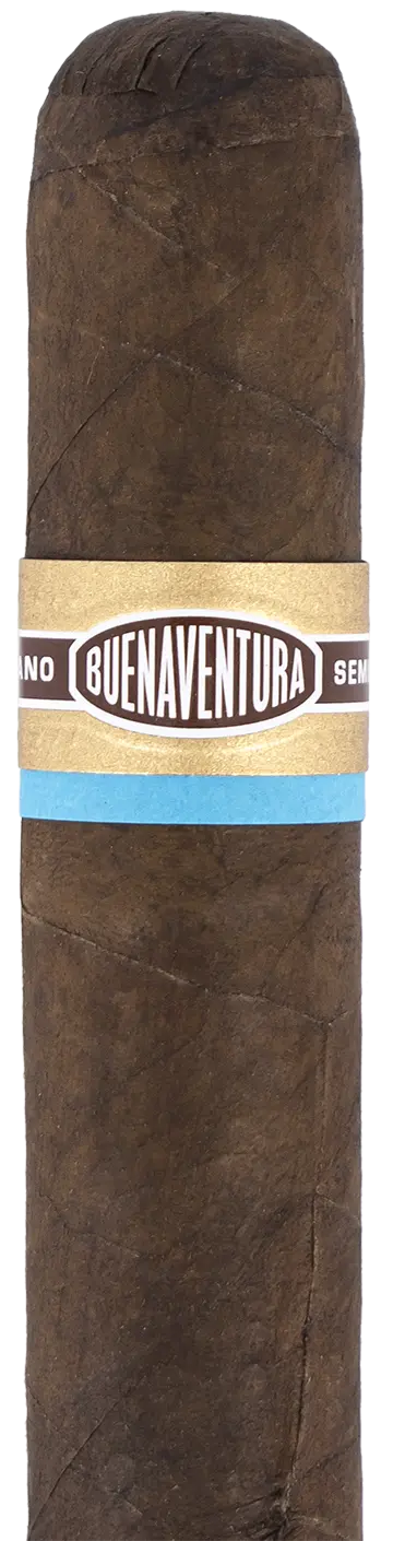 Curivari Buenaventura Favoritos Maduro Cigar - Single 1