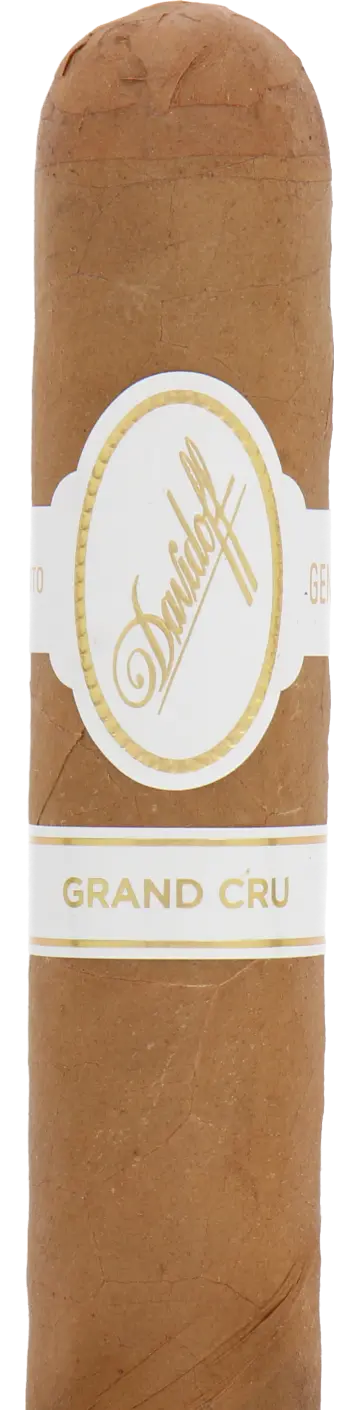 Davidoff Grand Cru Robusto Cigar - Single 1