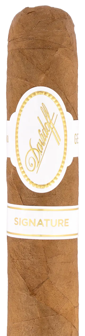 Davidoff Signature 6000 Robusto Cigar - Single 1