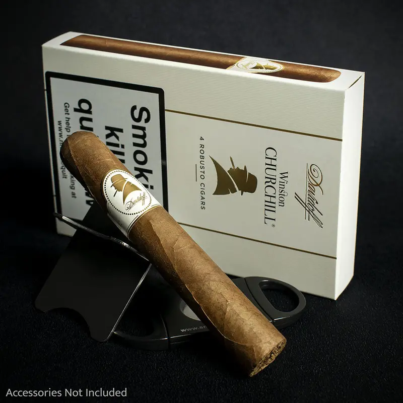 Davidoff Winston Churchill Statesman Robusto Cigar - Single 2