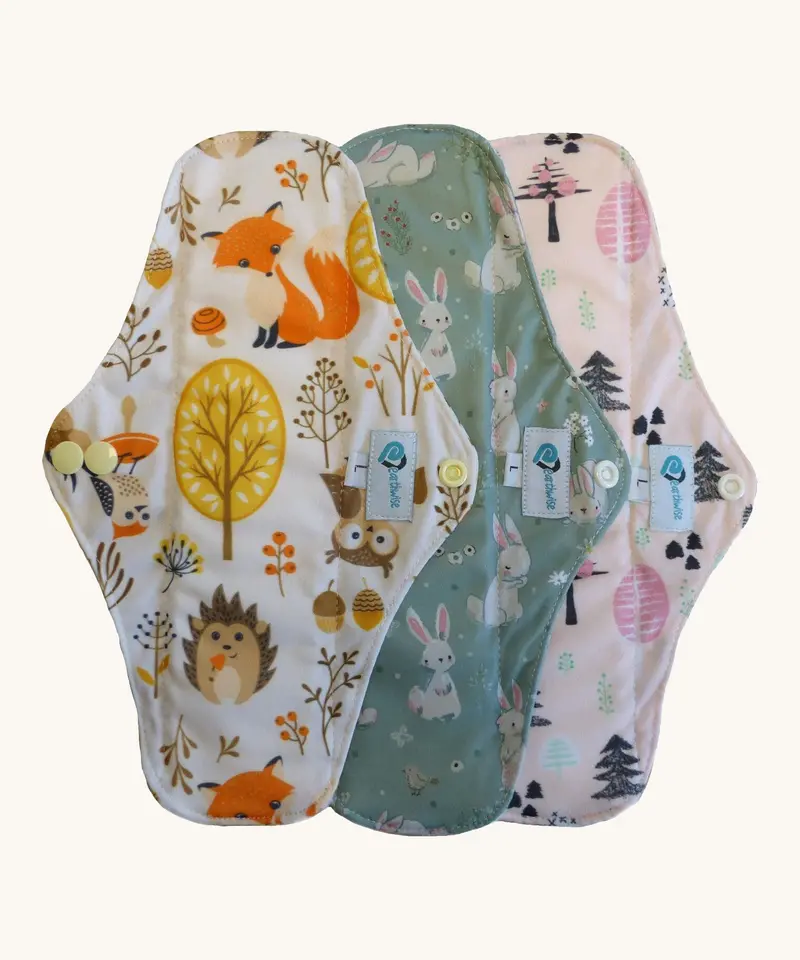 Earthwise Period Pads Long - 3 Pack 1