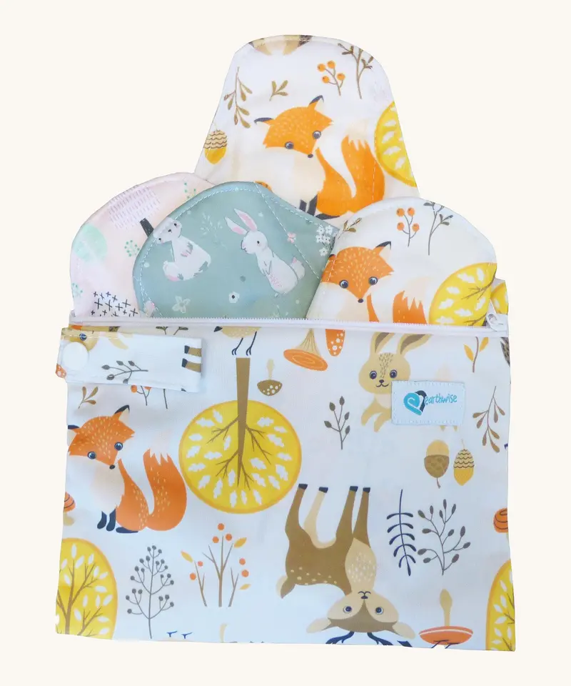 Earthwise Period Pads Starter Kit 1