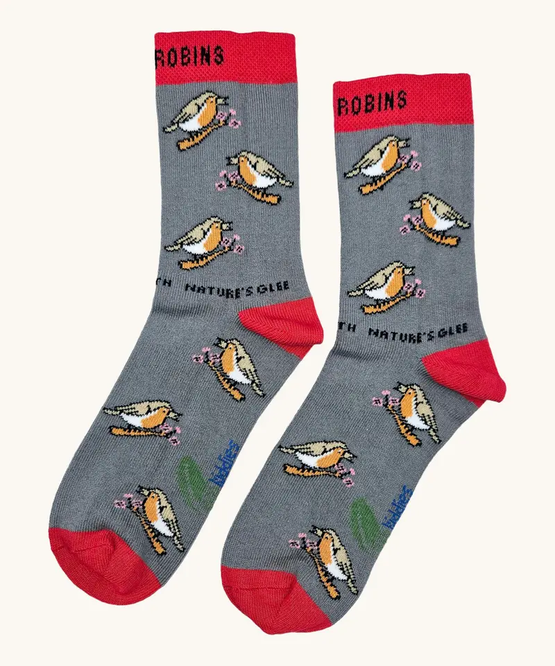 Eco Kiddies Organic Cotton Kids Socks - Chirpy Robins 1