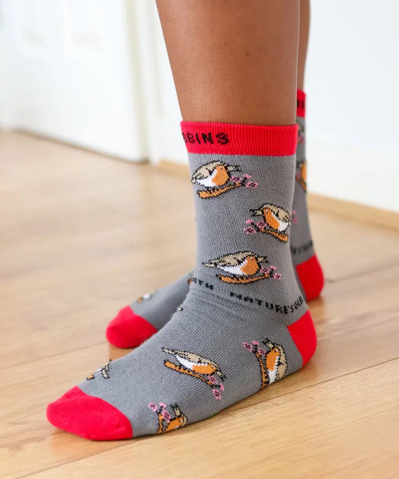 Eco Kiddies Organic Cotton Kids Socks - Chirpy Robins 2