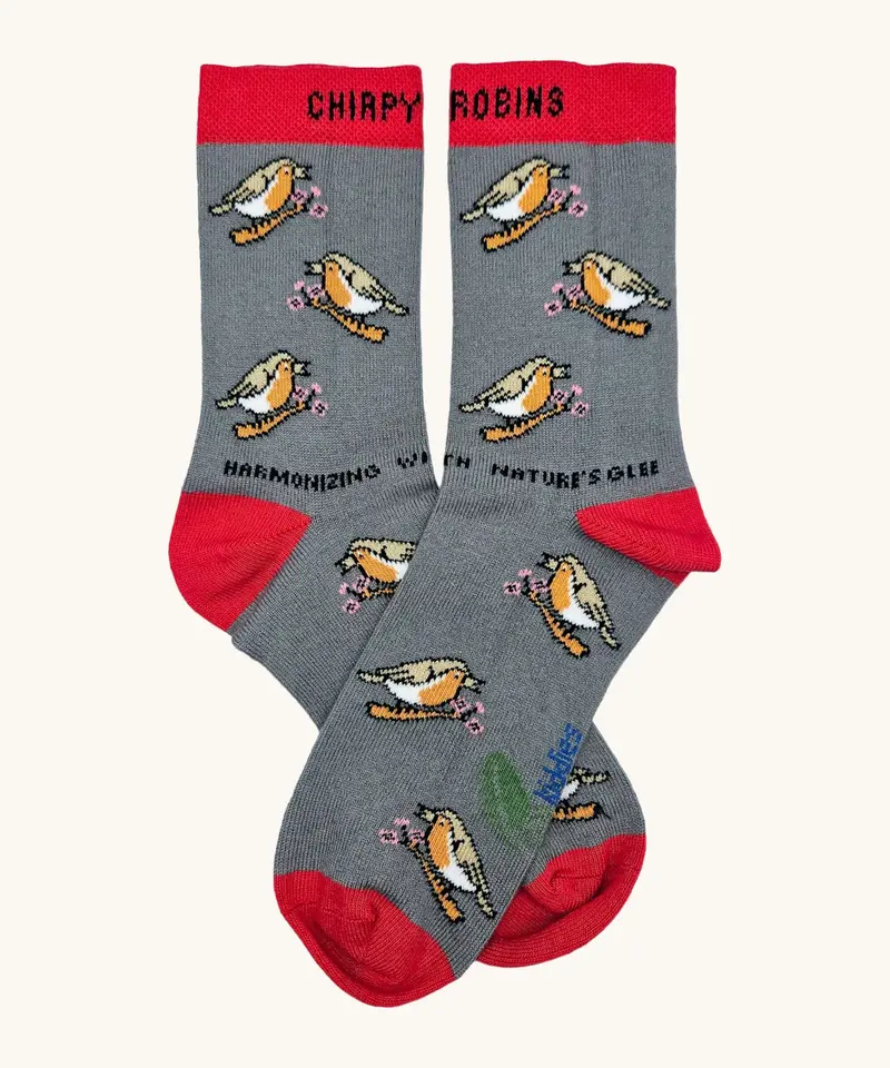 Eco Kiddies Organic Cotton Kids Socks - Chirpy Robins 3