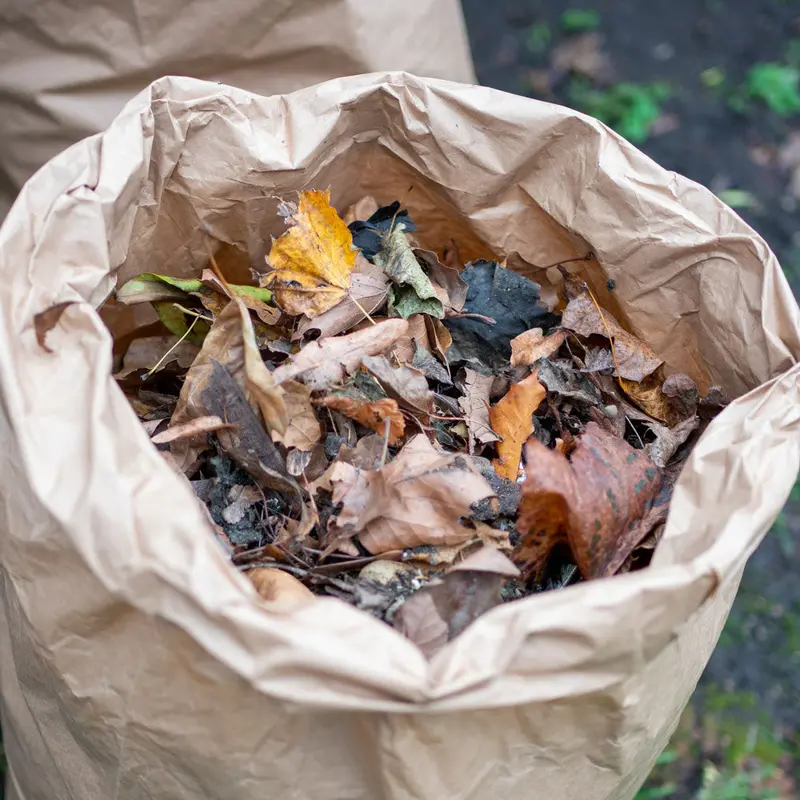 Ecoliving Compostable Paper Garden Waste Bags 2