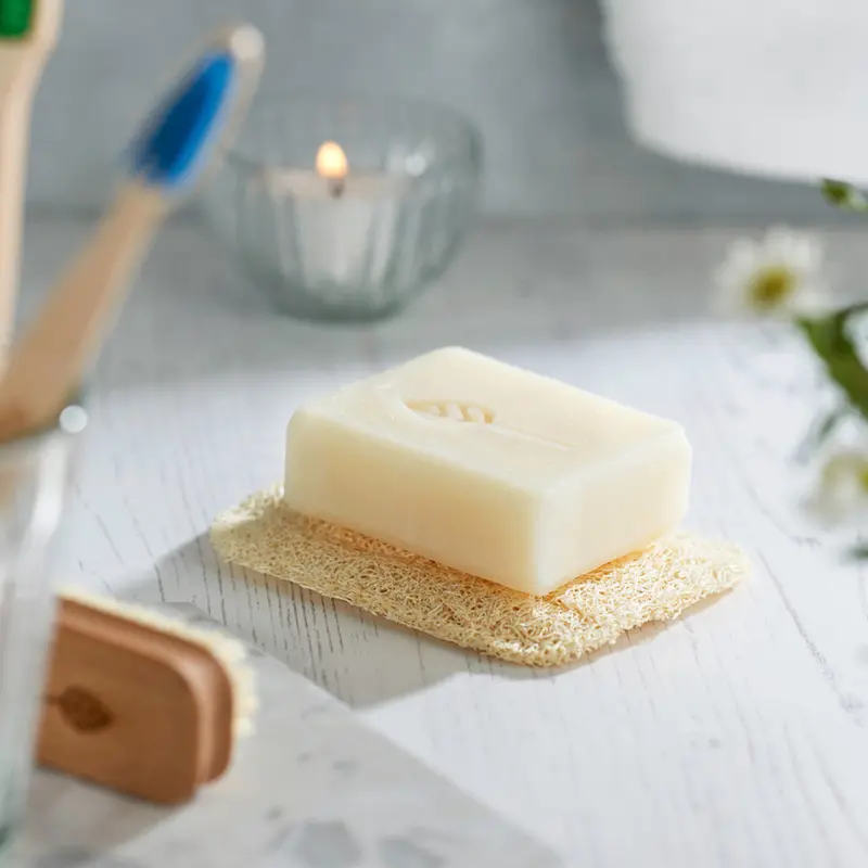 Ecoliving Loofah Soap Rest 2
