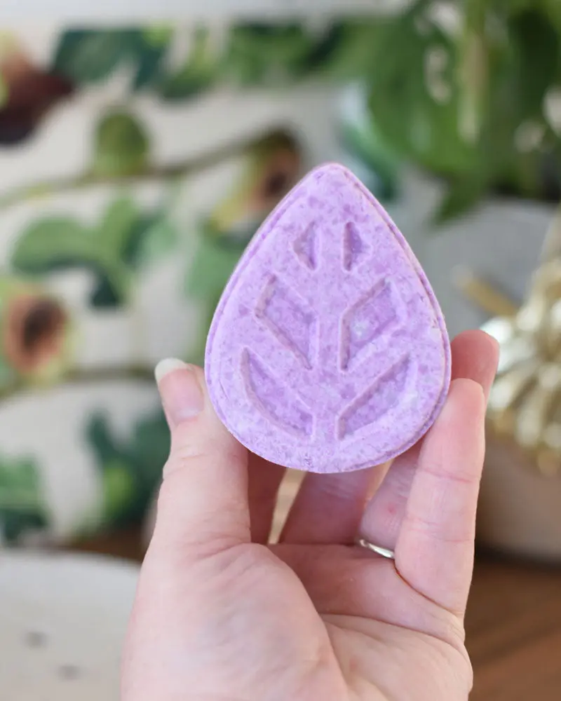 Ecoliving Solid Shampoo Bar - Fragrance Free 2