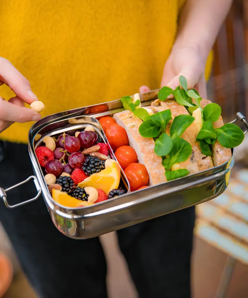 Elephant Box Jumbo 2-In-1 Lunch Box 2