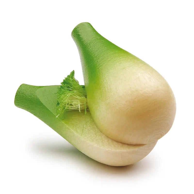 Erzi Fennel Bulb Wooden Play Food 1