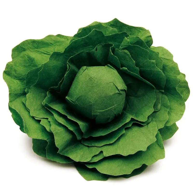 Erzi Lettuce Play Food 1
