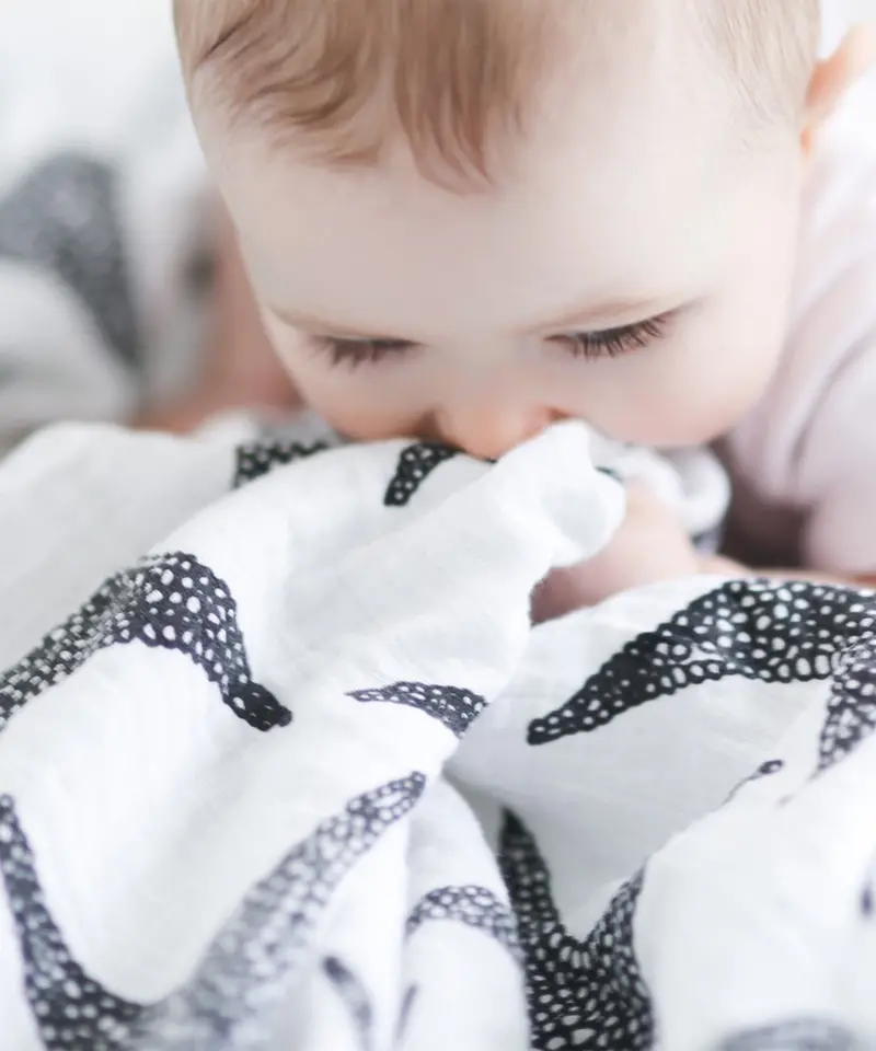 Etta Loves Extra Large Muslin Square - Starfish 2