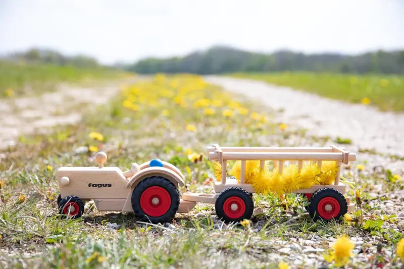 Fagus Wooden Hay Wagon 2